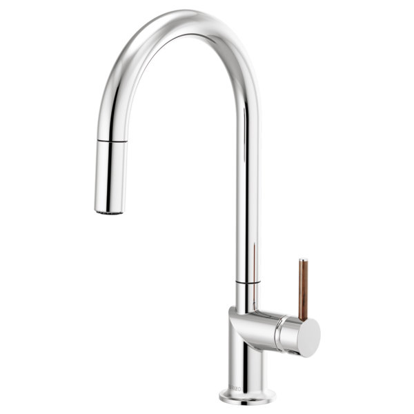 Brizo Odin® Pull-Down Faucet with Arc Spout & Reviews | Perigold